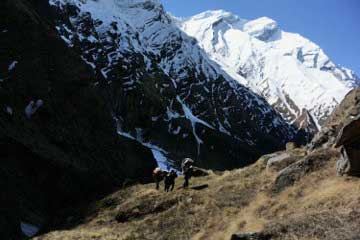 mit Sherpas